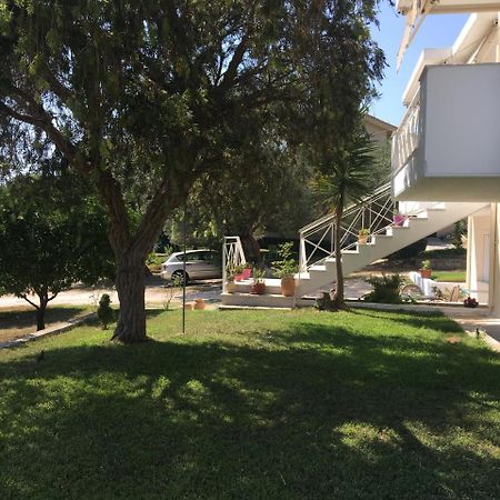 פלטאריה Armonia Apartment מראה חיצוני תמונה